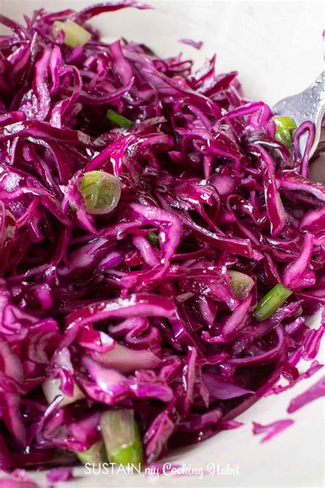 Simple Homemade Red Cabbage Coleslaw Recipe No Mayo Recipe Red