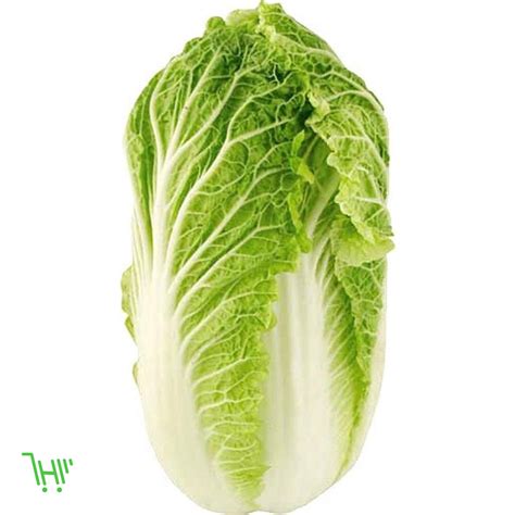 Салат китайский (100 фото) - фото - картинки и рисунки: скачать бесплатно