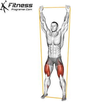 resistance band overhead squat fitness programer