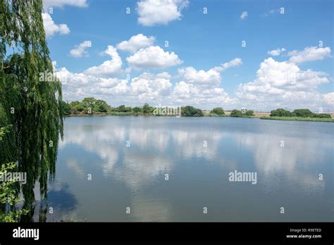 Marais Dam, Rietvlei Nature Reserve Stock Photo - Alamy