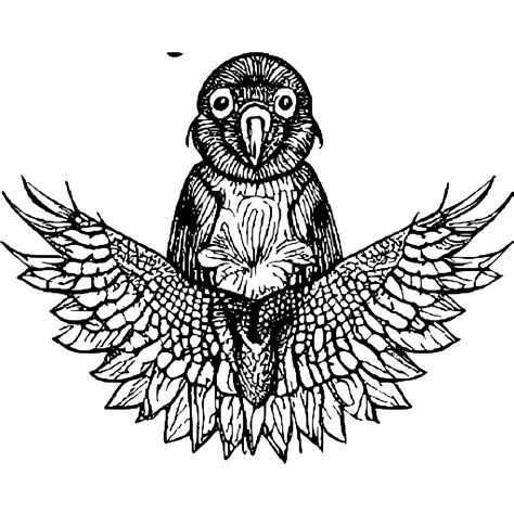 Coloring Page Baby Wild Birds · Creative Fabrica