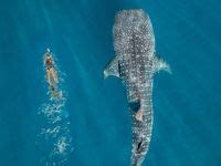 Beach Babe Ideas In Summer Dream Beach Summer Pictures