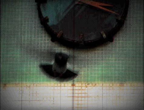 Fuck Yeah LSD Dream Emulator