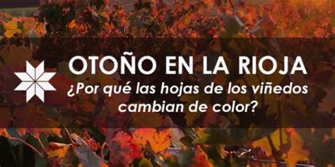 La Rioja En Oto O Por Qu Las Hojas De Los Vi Edos Cambian De Color