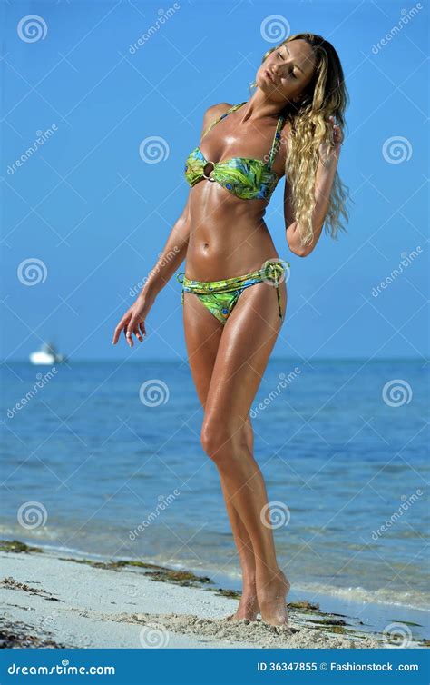 Pose Modèle De Bikini Sexy Assez à La Plage Tropicale Image stock Image du chaud pose 36347855