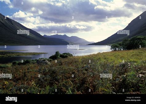 Loch Etive Scotland Uk Stock Photo Alamy
