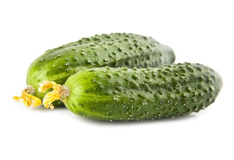 Купить семена огурца в упаковке Мини-проф (фольгированный пакет от ...