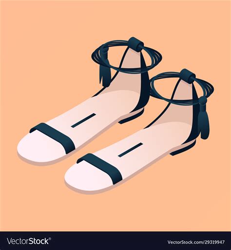 Isometric Flat Nude And Black Sandals Isolated Vector Image