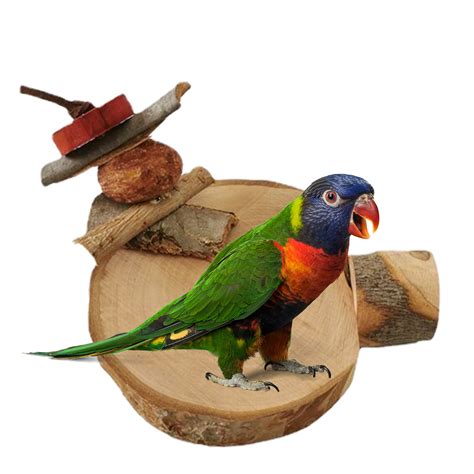 Voli Re Cage Oiseaux En Bois Naturel Support De Perche Plate Forme