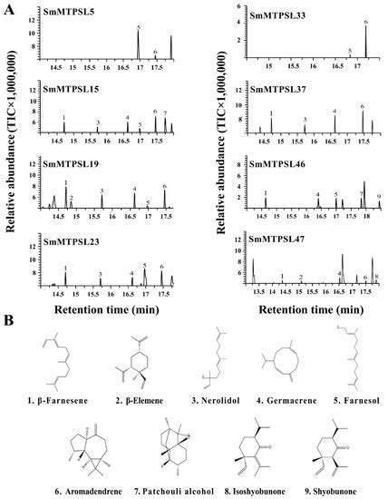 Ijms Free Full Text Biochemical Characterization And Function Of