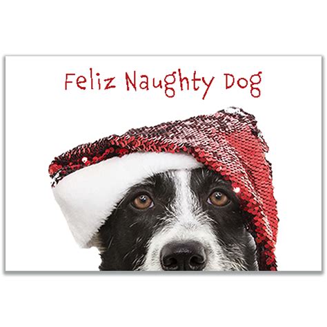 Naughty Dog Memes 850+ Hot Dog Dog Stock Photos, Pictures