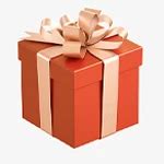 Anime One Piece Sex Doll Nami 148cm Mailovedoll