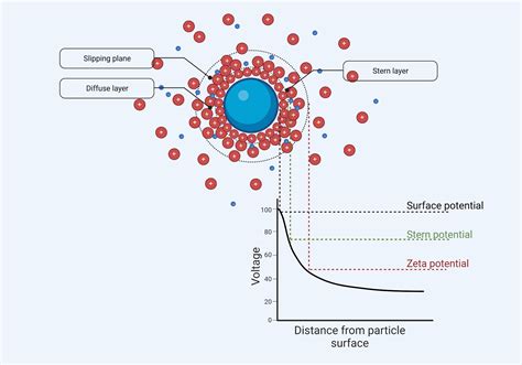 Zeta potential | BioRender Science Templates