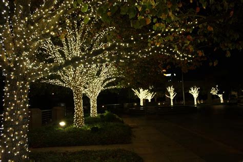 Dallas Landscape Lighting