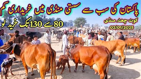 January Sahiwal Bachon Wali Gay Pakistan Ki Sub Se Sasti Mandi