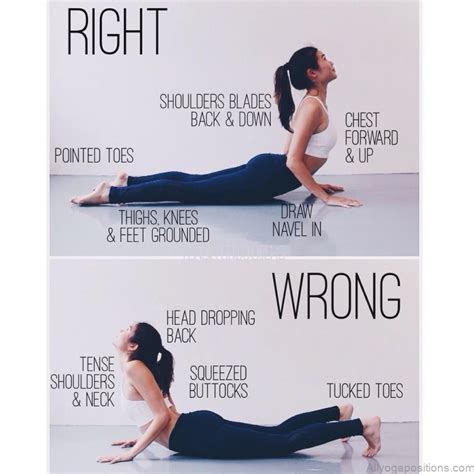 Yoga Practice Beginners How To Cobra Stretch - All Yoga Positions