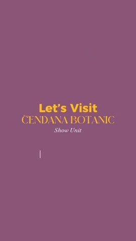 Cendana Botanic At Lippo Village Karawaci Tangerang Youtube