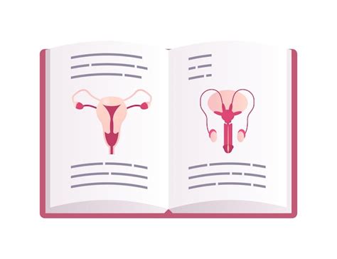 Premium Vector Sexual Book Human Biology And Analomy Lesson Sex