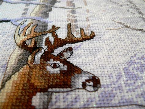 Олени в зимнем лесу | У истока