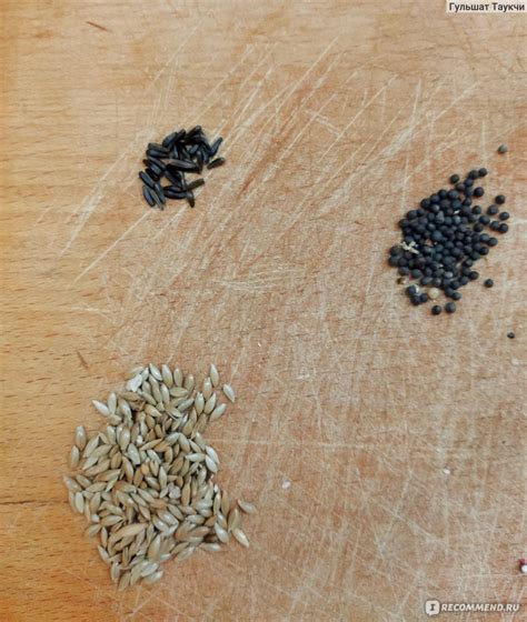 Корм для птиц Padovan Canarini GrandMix для канареек - «Постоянно ...