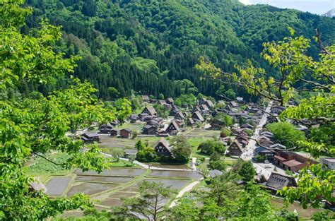 Summer In Shirakawa Go The Japanese Alps Project Gora