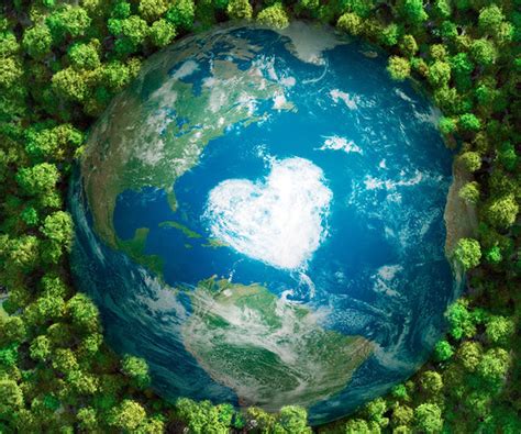 The Importance Of Recycling How Small Actions Make A Big Impact
