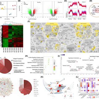 Interleukin‐10 (IL‐10) signaling was the top enriched pathway related... | Download Scientific ...