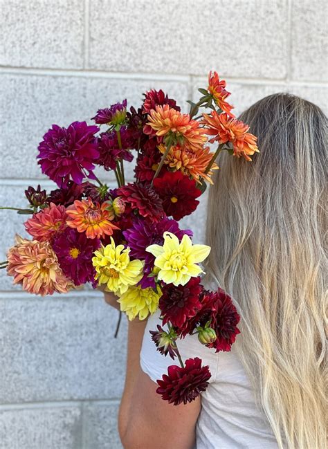 Popular Cut Flowers Thermaland Oaks