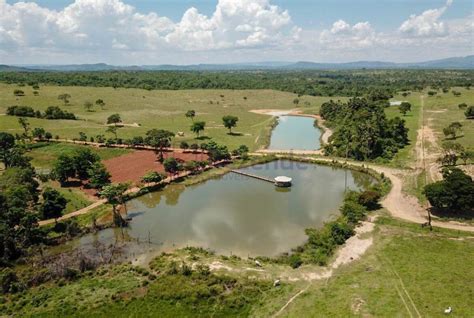 Tima Fazenda A Venda De Alqueires Hectares Em Padre