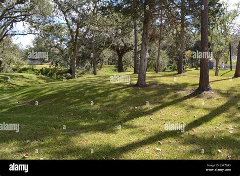 Green Gully At Historic Cane Plantation West Columbia Texas Stock
