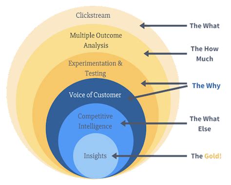 A Comprehensive Voice of Customer Guide to Answer Your Questions