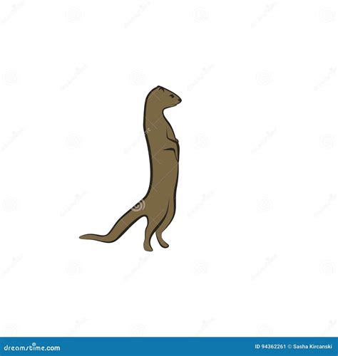 Mongoose Animal Standing On A White Background Cartoon Vector
