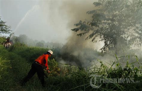 Jumlah Titik Panas Meningkat Di Riau Foto 1 1664322 Tribunnews