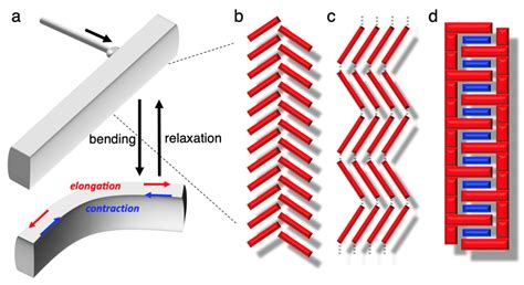 Elastic Organic Crystals Of Conjugated Molecules New Concept For