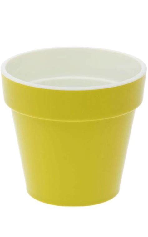 Золотая сотка алтая