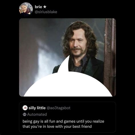 Sirius Black The Marauders Harry Potter Marauders Gay Harry Potter