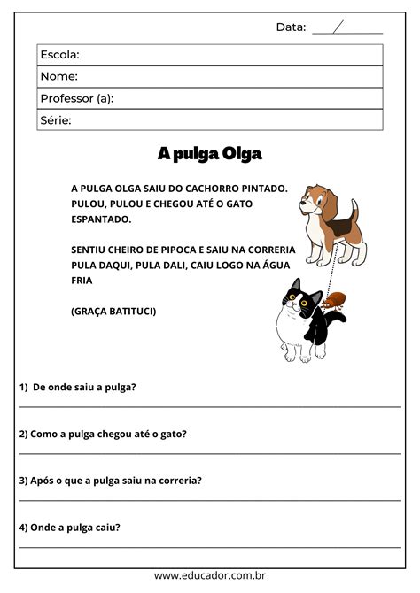 Alfabetização Atividade De Português 3 Ano Interpretação De Texto