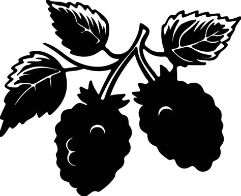 Boysenberry Black Silhouette 38103970 Vector Art At Vecteezy