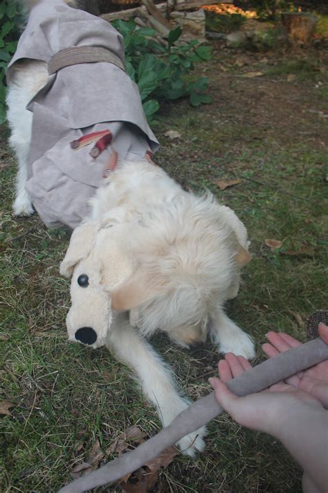 Custom Cerberus Dog Halloween Costume - Structables
