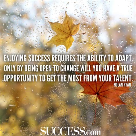 **Focusing On Personal Growth And Transformation (if Applicable):** Image 12