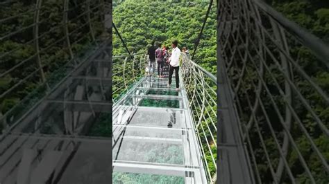 Rajgir Glass Bridge Basic Info ; Location, Rajgir Nalanda District ; - YouTube