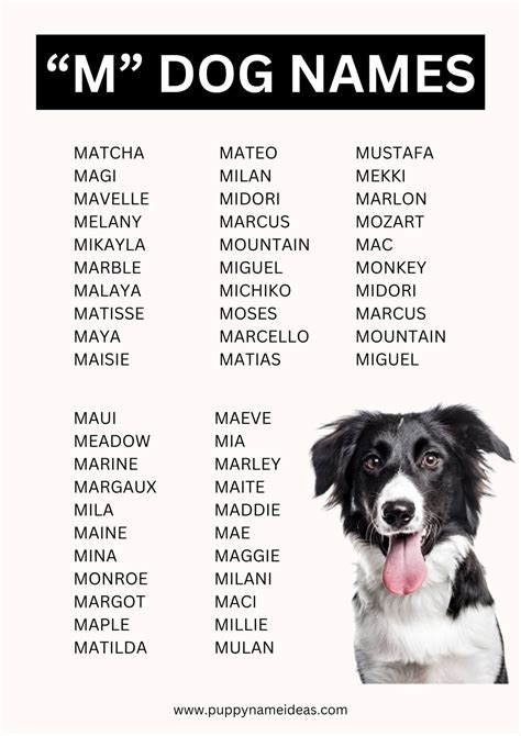 Dog Names That Start With M - Puppy Name Ideas