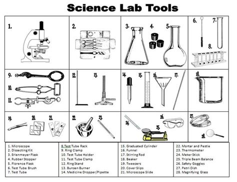 Biology Lab Equipment Worksheets