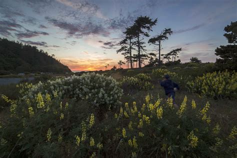 Evening light at Fort Worden State park | North Western Images - photos ...