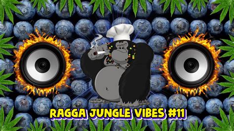 Ragga Jungle Drum Bass Vibes Reggae Dnb Mix Youtube