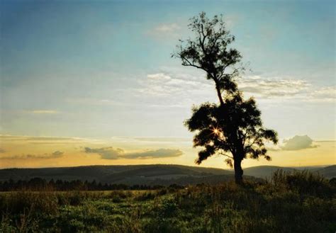 Free Images Landscape Nature Grass Horizon Wilderness Sunrise