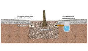 Pk Baumrigolen Pk Regenwassermanagement