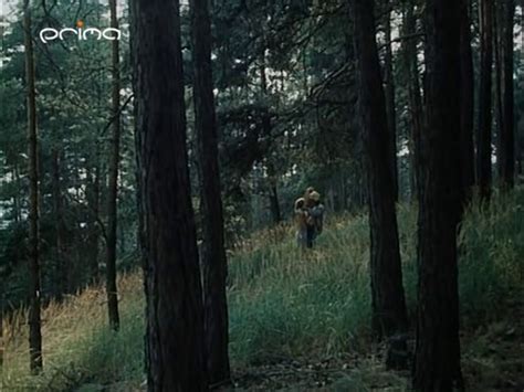 Naked Veronika K Nsk In Slunce Seno Jahody