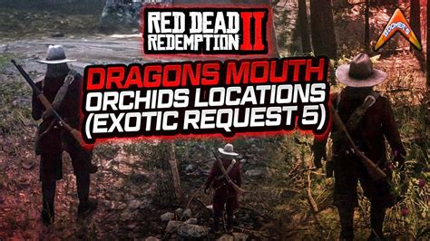 Rdr2 Dragons Mouth Orchids Locations Exotic Request 5 Youtube