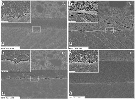 Representative SEM micrograms of resin–enamel interfaces. a SU at ...